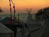 Glastonbury 2009